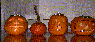 Jack-o-lanterns in the day